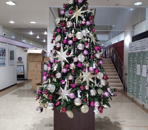 プリンセス　Xmasツリー